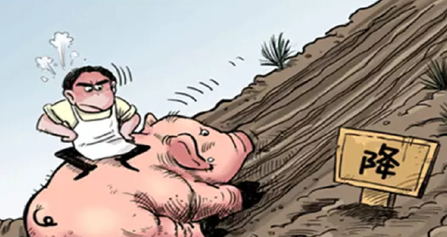 生猪价格 猪市“困局难破”，6月2日猪价太意外，2个坏消息，猪价还得跌？