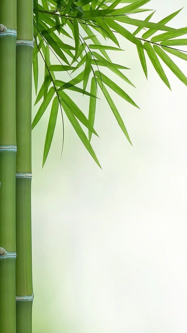 失眠小事|生活有太多未知,那就用力不留遗憾吧