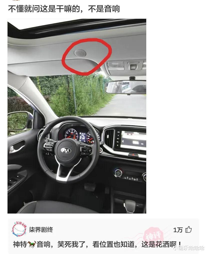 秦岚|神回复：如果你成了女明星，我靠你的黑料就能发财了！你黑料太多