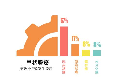 抗生素|散结“高手”被找到，不是冬瓜，敞开吃，甲状腺结节一天比一天小