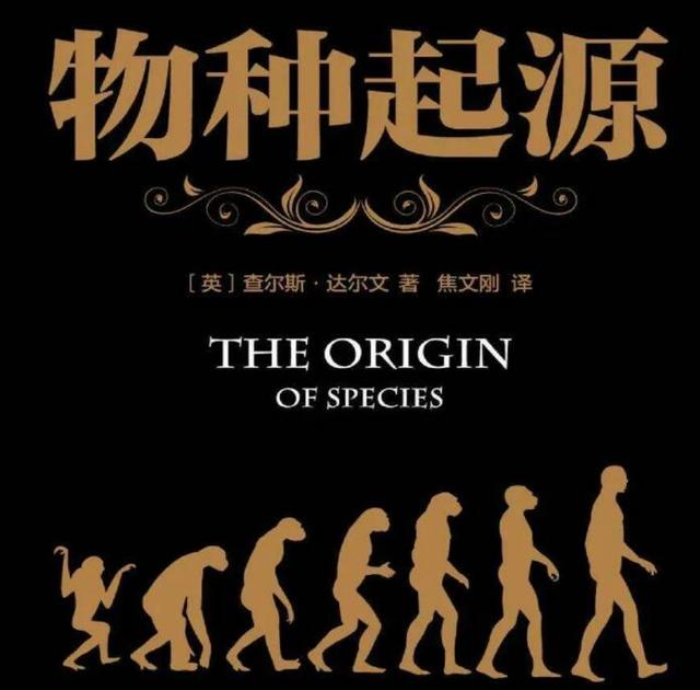 人类从哪里来?基因科学揭秘人类起源背后的真相