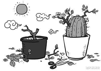 清风爱廉说 如何通过借力、分化、延伸快速实现审查调查的突破?