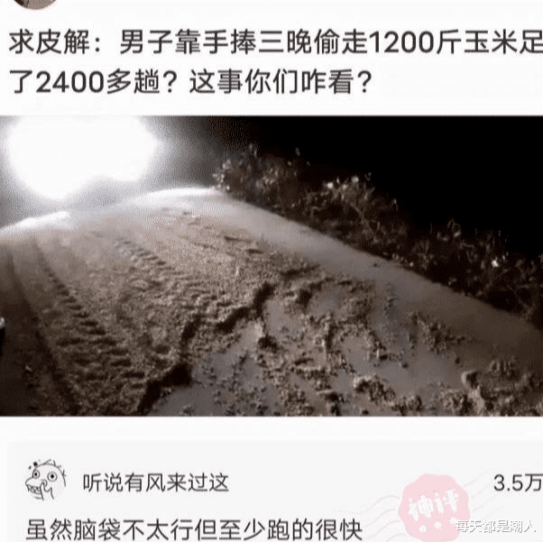 每天都是潮人|神回复:男子靠手捧三晚偷走1200斤玉米足足捧了2400多趟?
