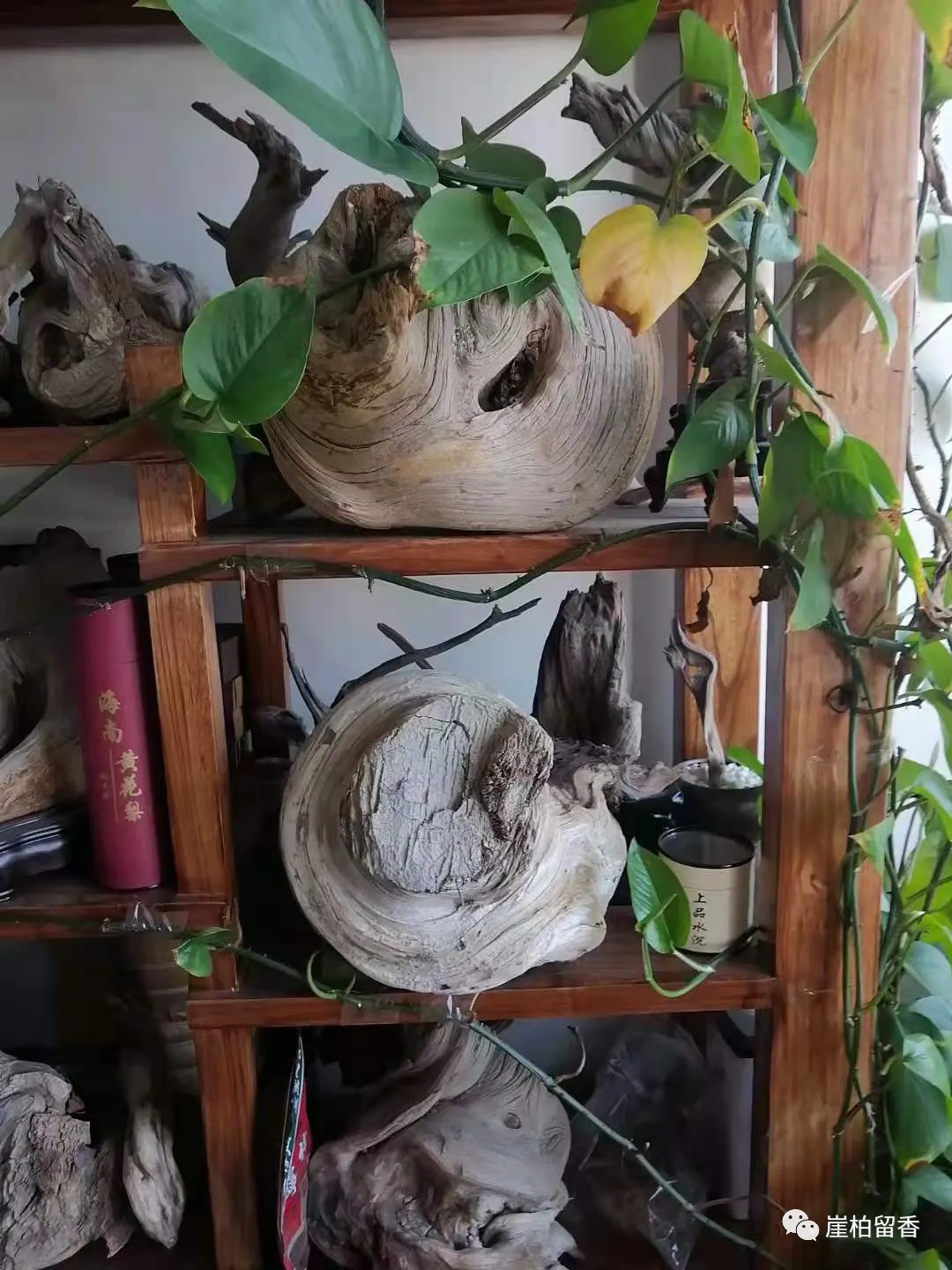 银元|新手购买崖柏的几个坑你入过几个呢？