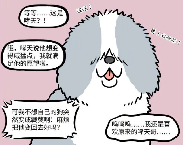 哮天|非人哉：哮天变藏獒？吓得杨戬赶紧求地藏把他变回去