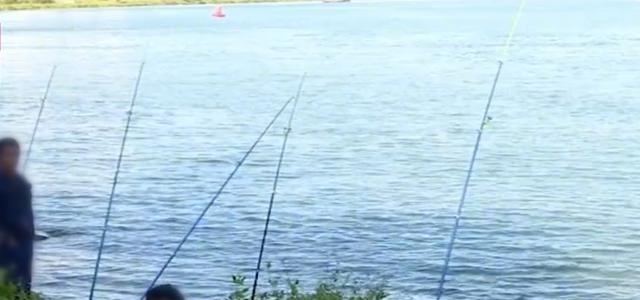 立冬|广西一男子野钓罕见收获“怪鱼”，请渔政帮忙鉴别，最后连夜放生