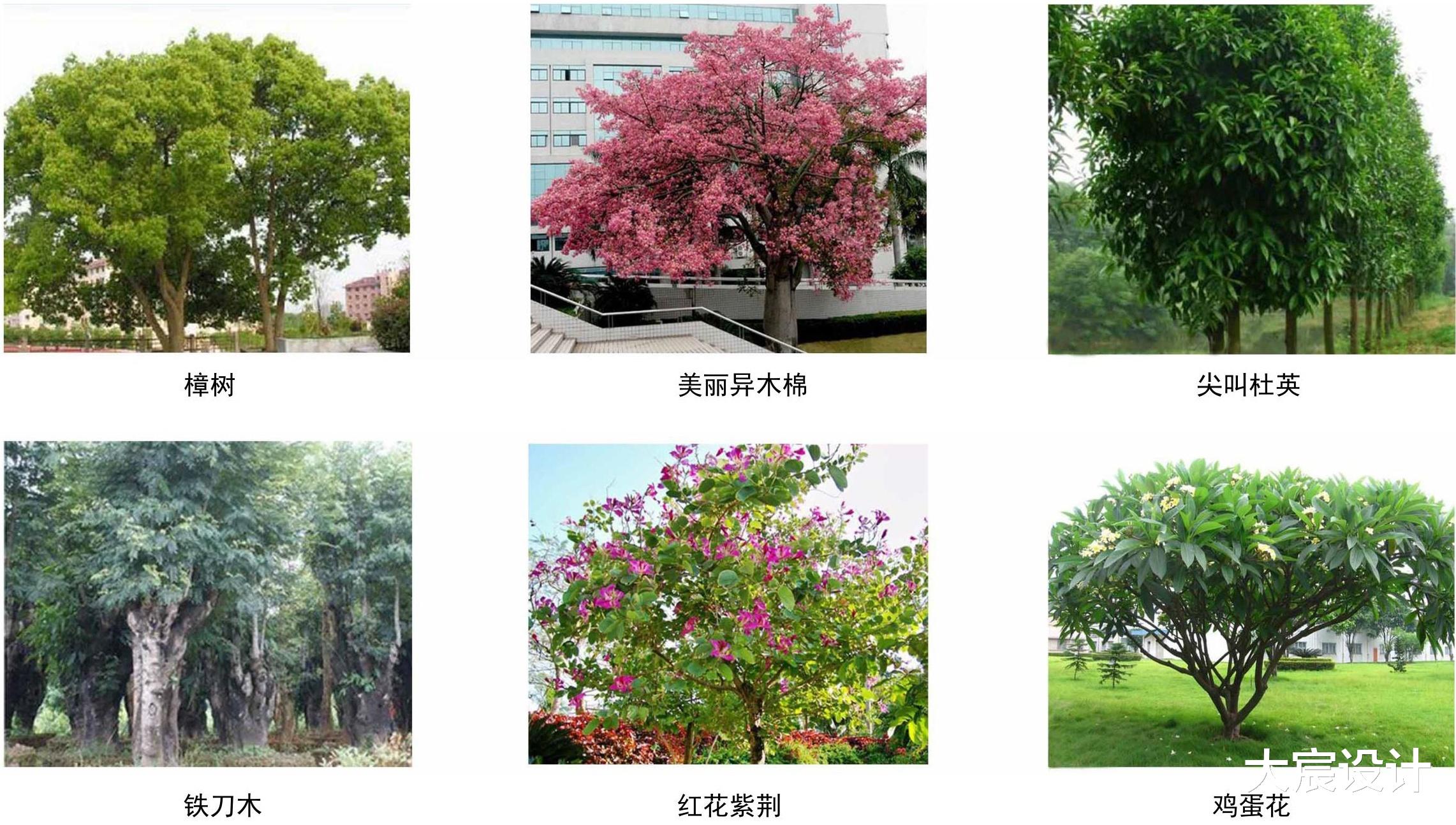 大宸设计：新中式工业建筑设计?粤电花都热电联产项目