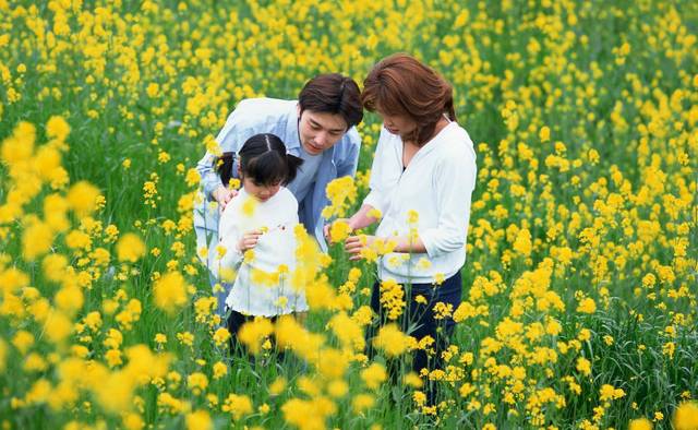 郭碧婷|豪门婚前协议：奶茶妹十年内离婚1分也没，这对亲密超5次就得付钱