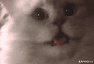 重庆购物狂论坛 新放假通知来了！这次不调休，连休三天