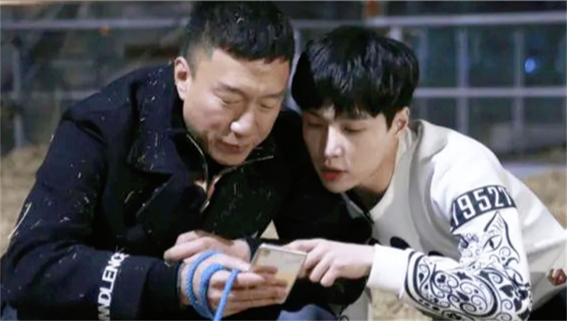 王嘉尔|5位“耿直”的明星,王嘉尔“实力坑爹”,王俊凯竟直言内裤颜色