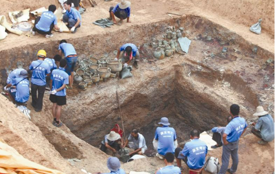 萱爸育儿经|大学专业趣味解读来袭：会计学生能炒股，考古学生会鉴宝