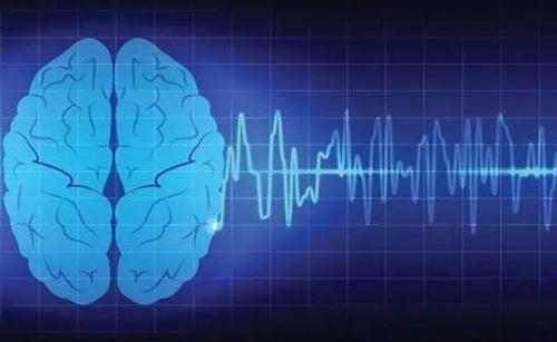 科学家 疯人院地下室科学家，最初的脑机接口实验，毫无人权可言！