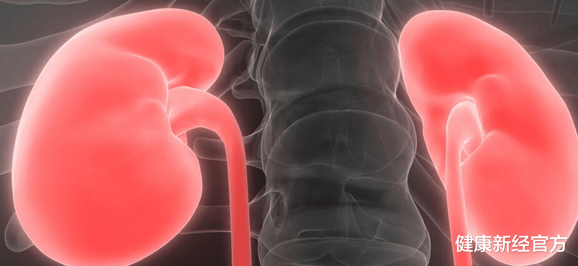 高血压|血压“稳定剂”被发现，并非大蒜，每天吃一点，血压稳稳降