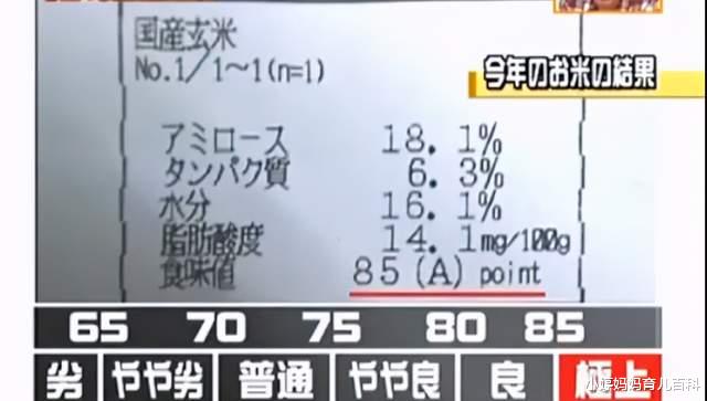 小婷妈妈育儿百科 6岁日本男孩梦想当农民，11年后现状曝光，给所有父母上了一课