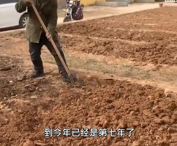 城市谈 智残家长给学校翻地换得善款,河北一小学校长表示:避免不劳而获