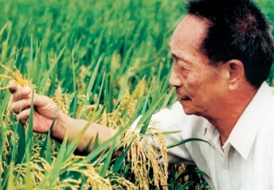 吴孟达|袁隆平去世前,各路媒体提早发消息惹众怒,吴孟达事件再度重演