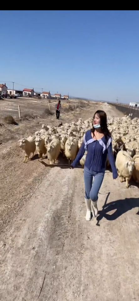 民生小鱼 内蒙古一放羊女孩因貌美，意外走红网络，网友：初恋的感觉！