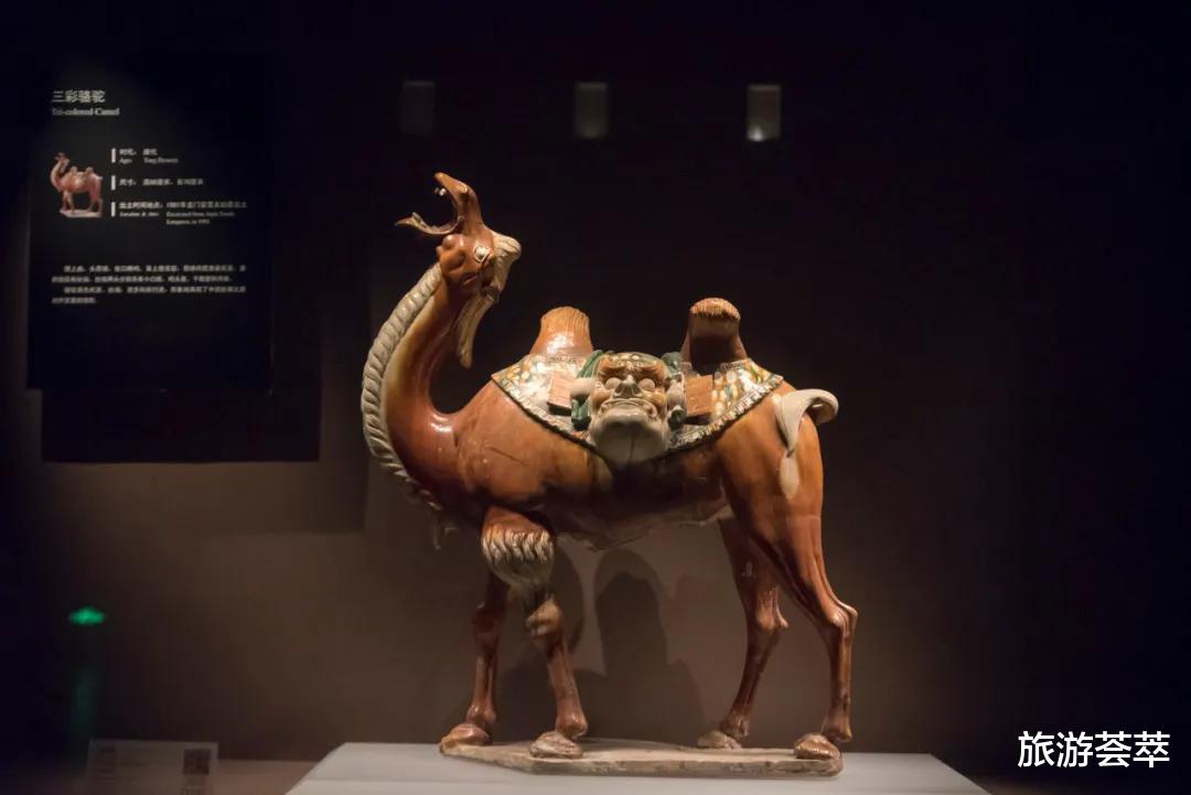 旅游荟萃 千年古都洛阳：孕育着华夏文明，谱写出半部中国史