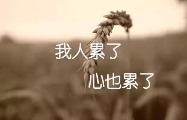 小飞侠熙熙|为什么活得累？