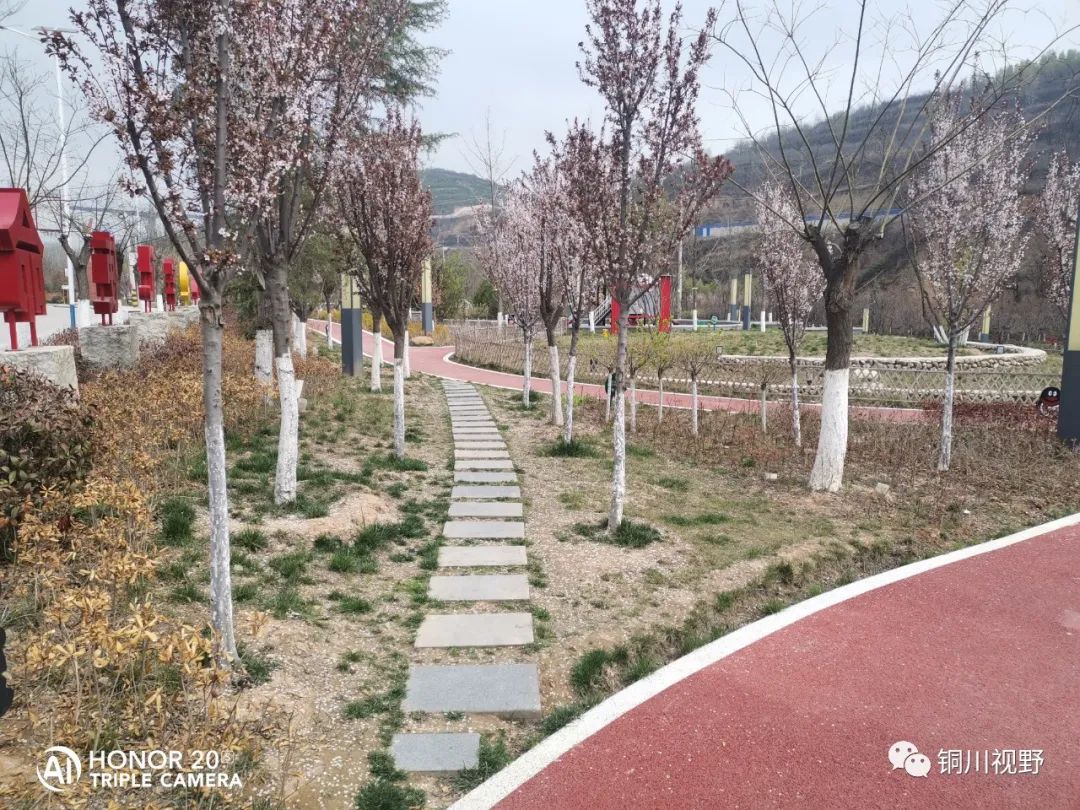 铜川周春辉 清明时节大美王家河的湿地公园