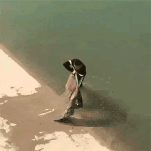 萌萌萌说|“小姨子有空就来帮我带孩子，我却高兴不起来！”我感觉目的不纯