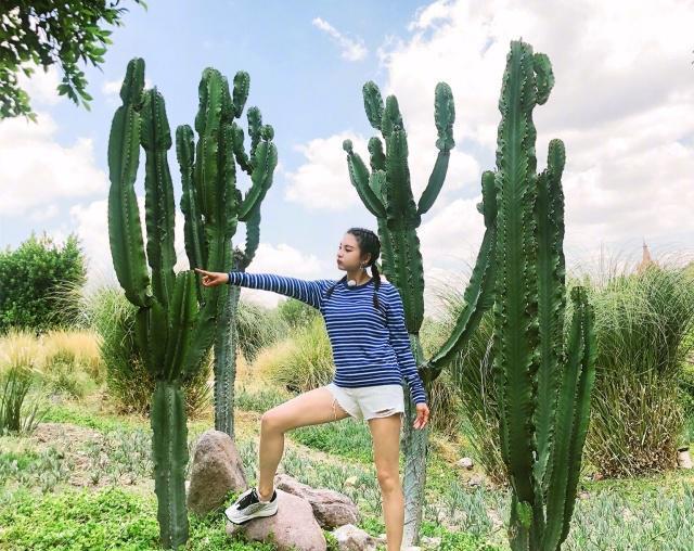 短裤|张雨绮度假这样穿好减龄，V领波点衫配高腰短裤，大长腿太吸睛
