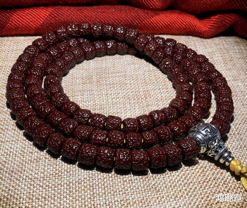 金刚菩提|金刚菩提多久能“刷”红？尴尬了！刷是刷不红的，只有这样才能红