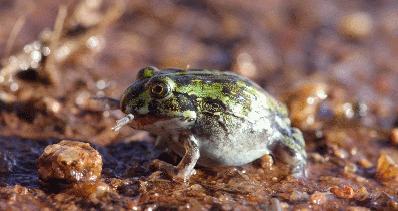 大象 触目惊心，不忍直视！9.3分顶流刷屏，对不起我夸不下嘴…