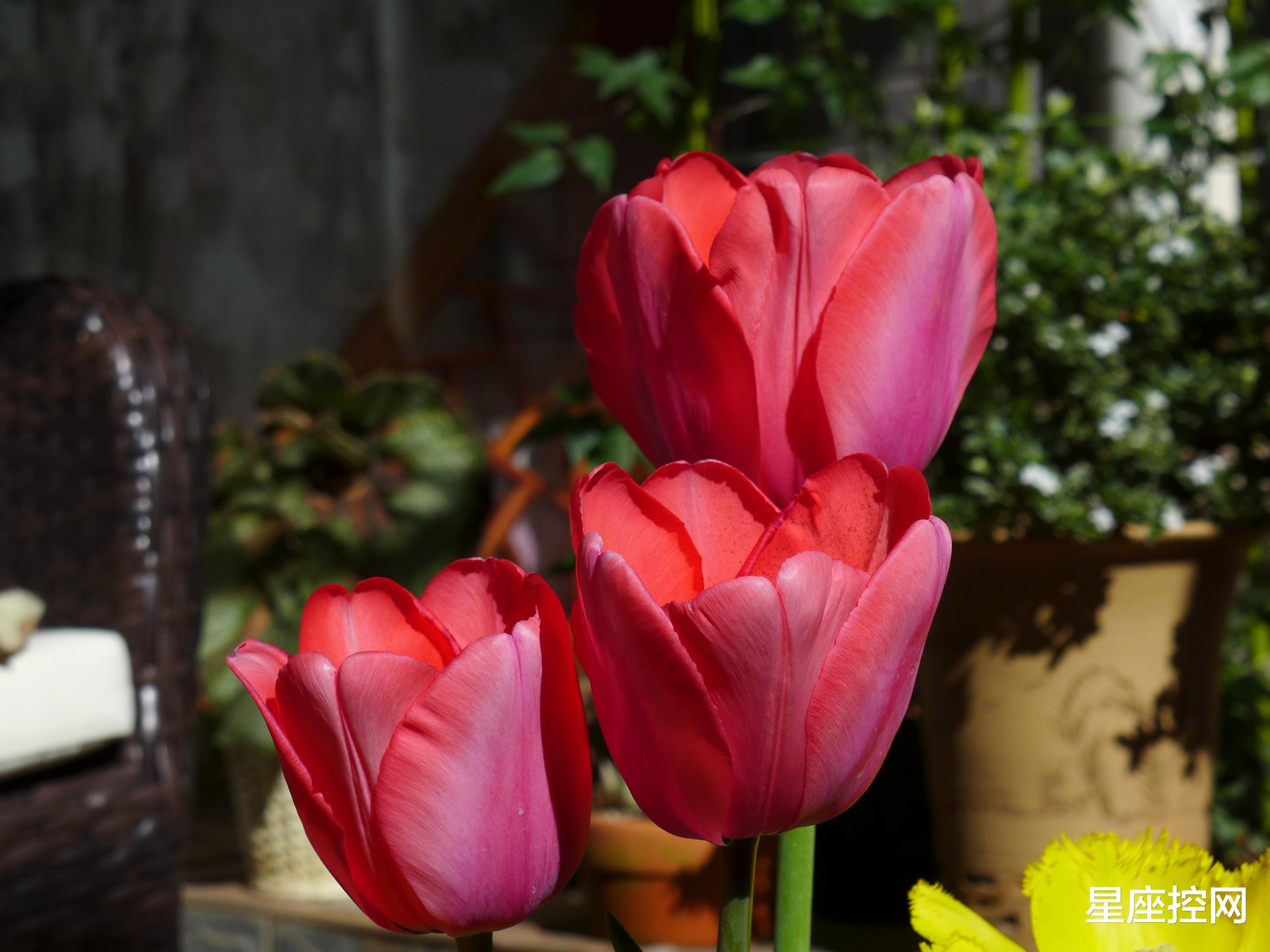 |啥月份出生的人，曾经为钱而愁，明年除夕以后，财富不请自来！