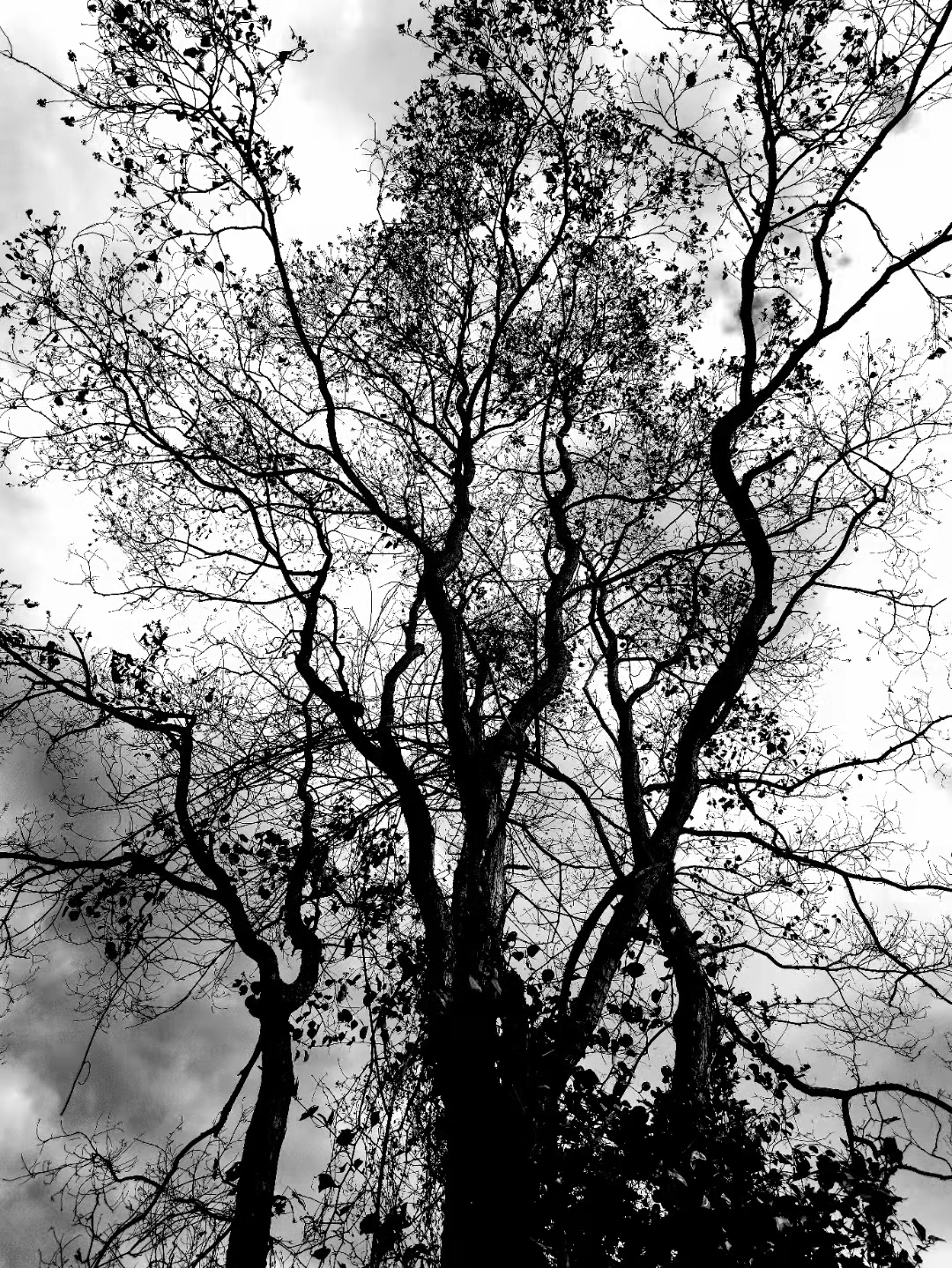 这才是内心最真实的色彩 即使是再小的恐惧也会被无限放大