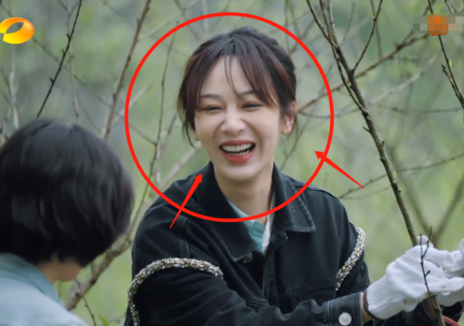 杨紫|不叫“妹妹”，也不叫“杨紫”，张艺兴的叫法差点吓退了当事人