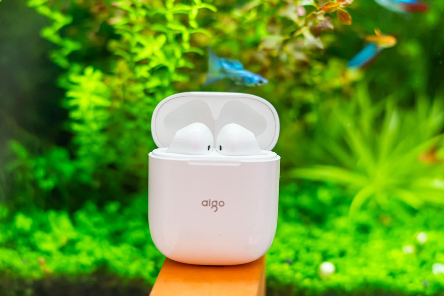 爱董小白 便宜够用是王道—aigo T18真无线蓝牙耳机