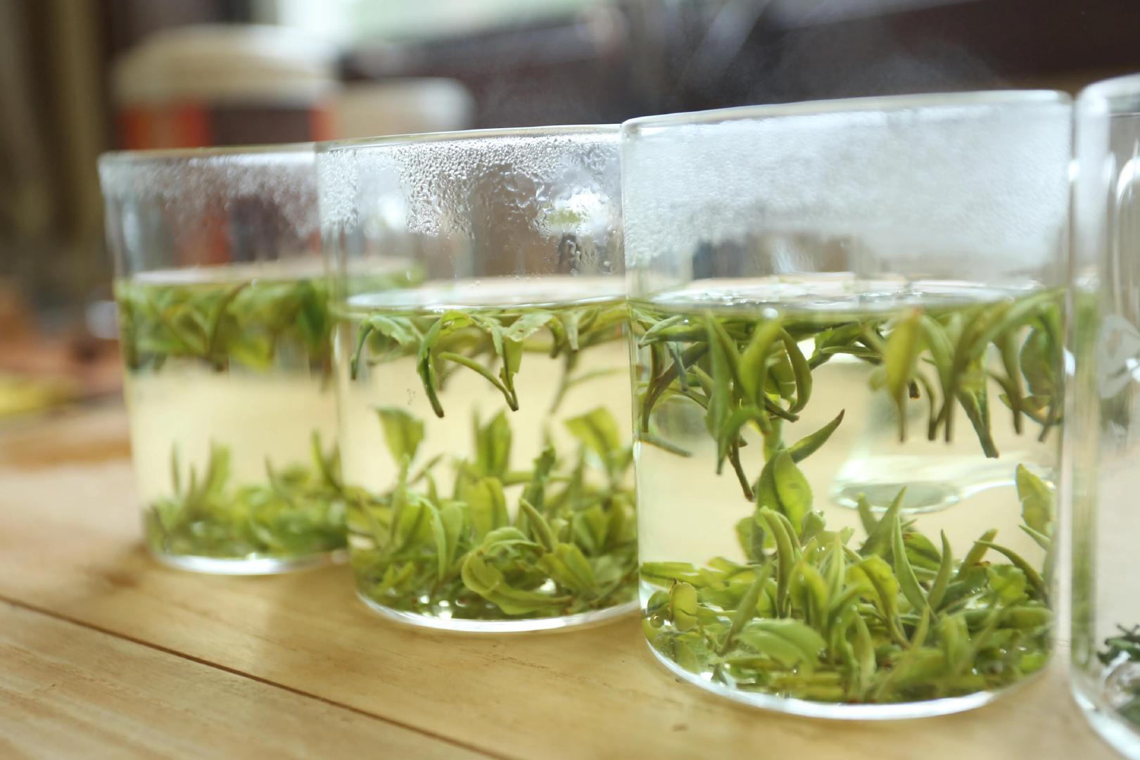 陕西旅游 探访北纬33度的奇迹 遇见陕茶遇见你 走进秦岭最美县城商南