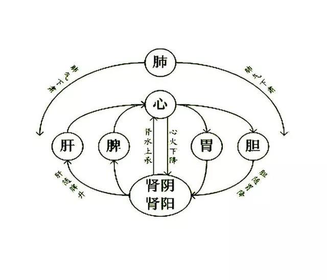 香艾儿|上热下寒总调不好，很可能是你的脾胃太差了