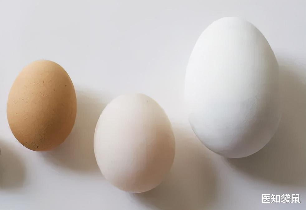 鸡蛋、鸭蛋、鹅蛋，哪个更有营养？
