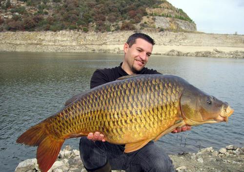 谷雨|国外钓鱼资源好？并非素质高而是罚得狠