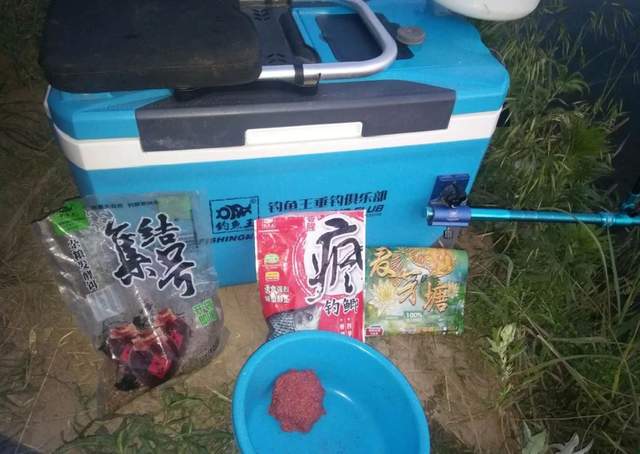 饵料|夏季夜钓，这几点需要注意，6月不学就太亏了，不信就试试