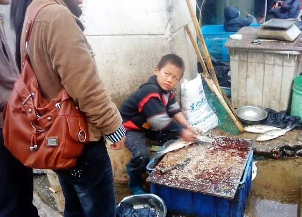 “杀鱼弟”孟凡森：9岁一夜爆红，14岁辍学，17岁为何喝下百草枯