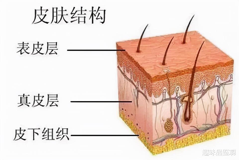 人类与生俱来就有超能力?皮肤具有自我意识?科学家至今无法解释