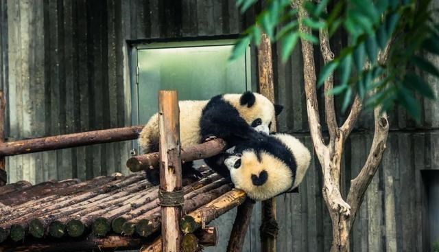 涠洲岛 5月旅行去哪里？这6处经典目的地，月薪三千也能实现“旅行自由”