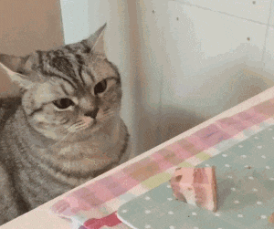 咸蛋的小姐 高考失利上了护校,这里不是御姐就是萝莉,我像八戒掉进盘丝洞,哈哈哈