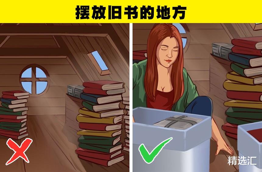 精选汇 你的家中可能成为虫子温床的8个地方