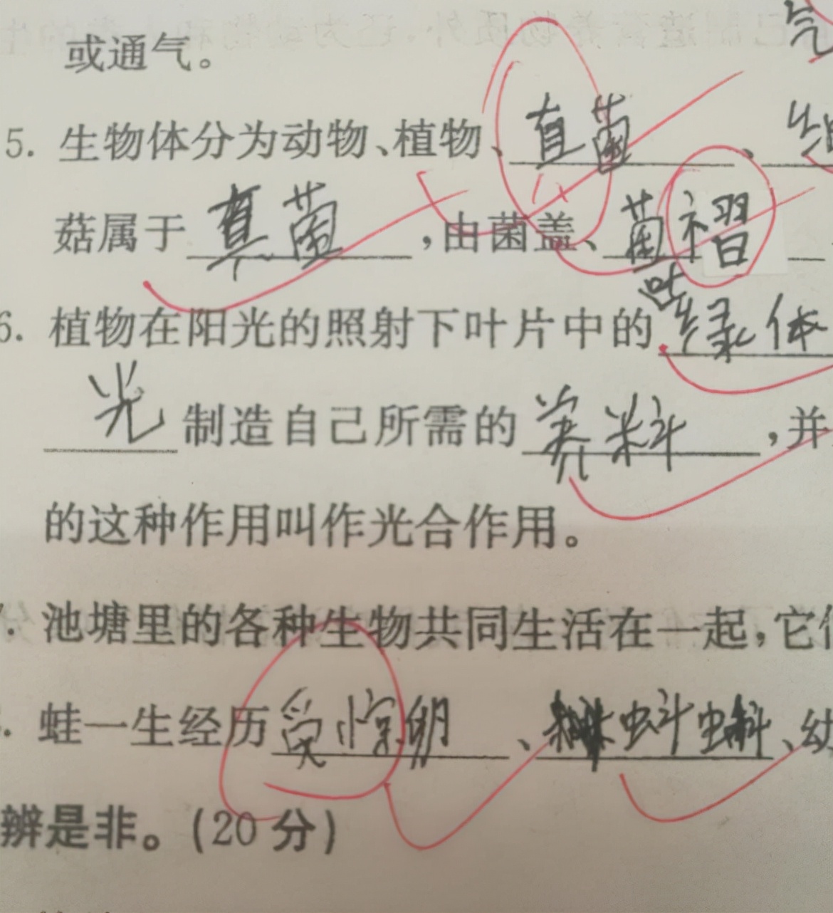 脑回路|小学生都是这样的“脑回路”吗？笑到肚子疼，不知道该怎么打分