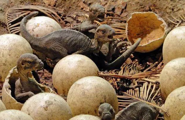 科学家 为什么现在很少提“克隆”了？“多莉羊”的一生就是答案，太可怜