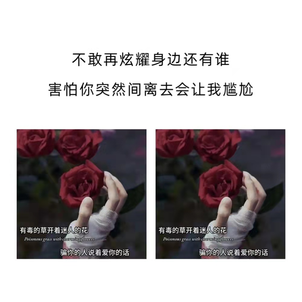 墨陌文案馆|写给太重感情的人