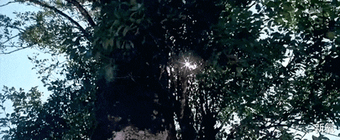 张震|美人无性别，这位男色能让东西方女生全都为他腿软…