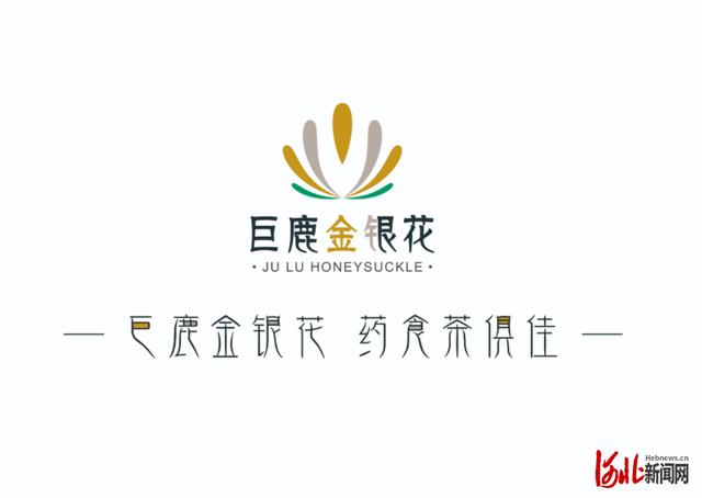 河北新闻网 巨鹿金银花区域公用品牌发布会在石家庄举行