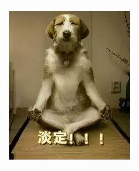 格斗游戏|格斗游戏成香饽饽？腾讯拳头争相制作，连轩辕剑都来插上一脚
