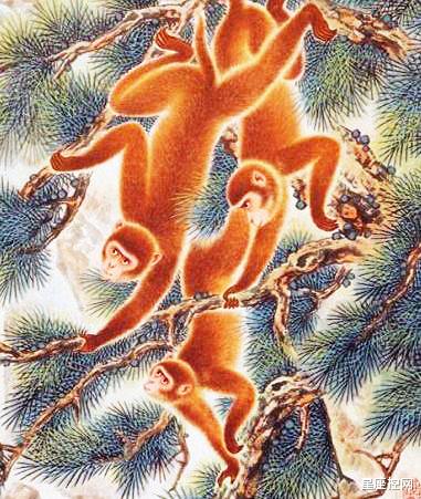 迪丽热巴|三大生肖，桃花常开不谢，贵人常来常往，走遍职场如鱼得水