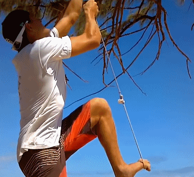 萌宠欢乐多 第一次见这样刷碗的，很是暴力！